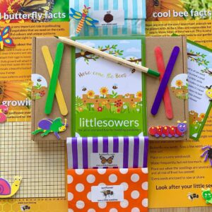 All in one sunflower seed box