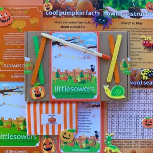 All in one pumpkin seed box