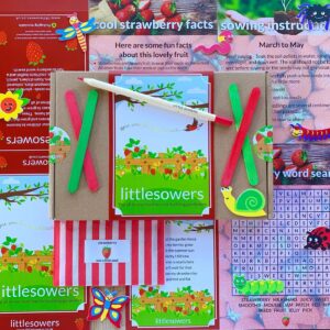 All in one strawberry seed box